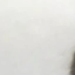 吐夢