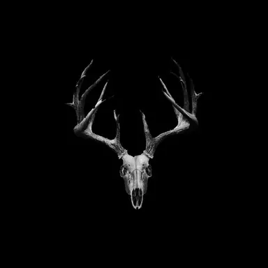 Profile image of Arkanum nyx