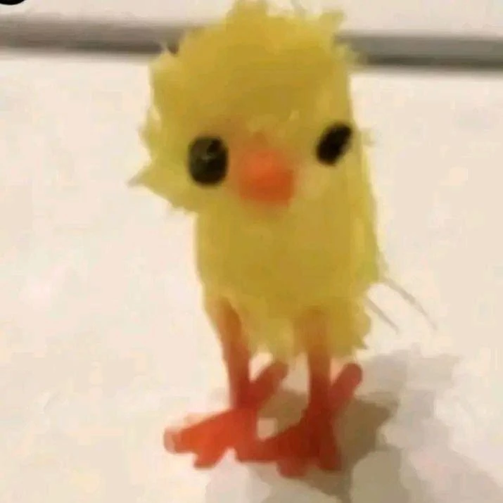 정지환