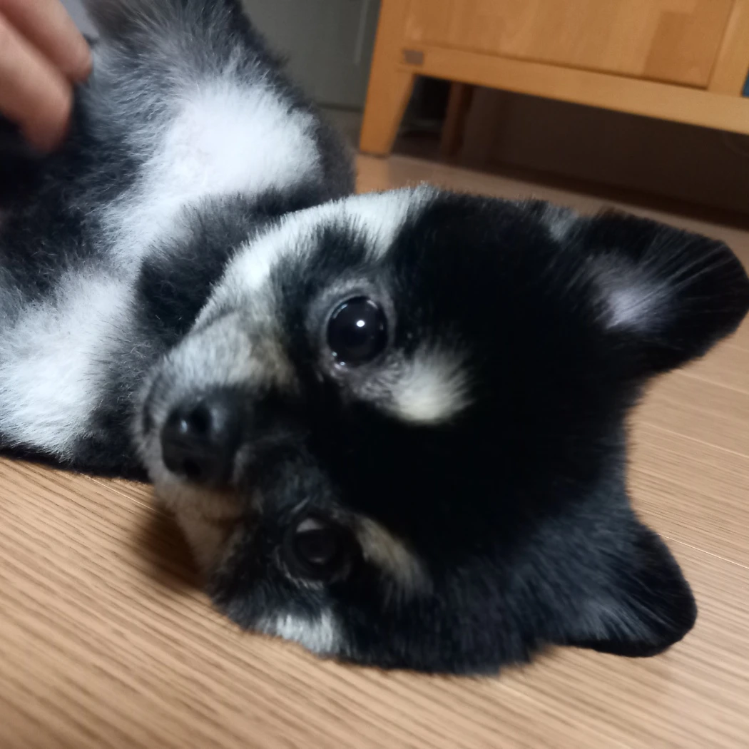 김주영