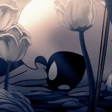 Profile image of Lace