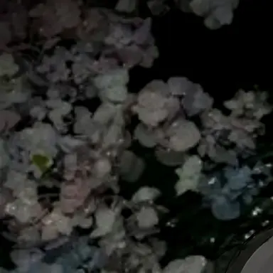 Profile image of 日本