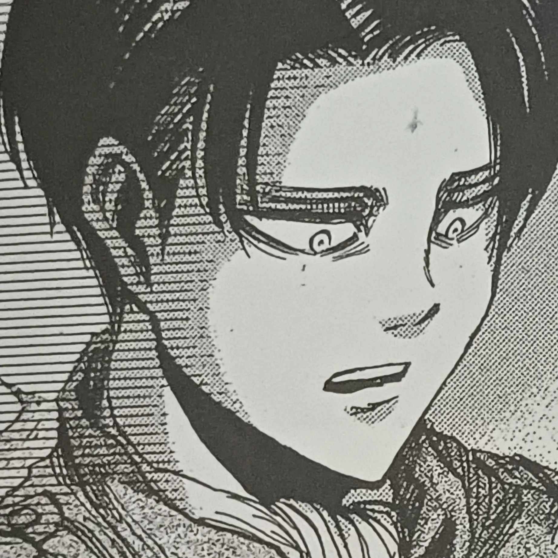 MindlessTitan의 리바이 아커만