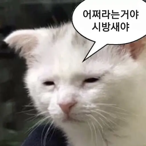 jihoyun005의 걸즈앤판처 (만약에 세계관)