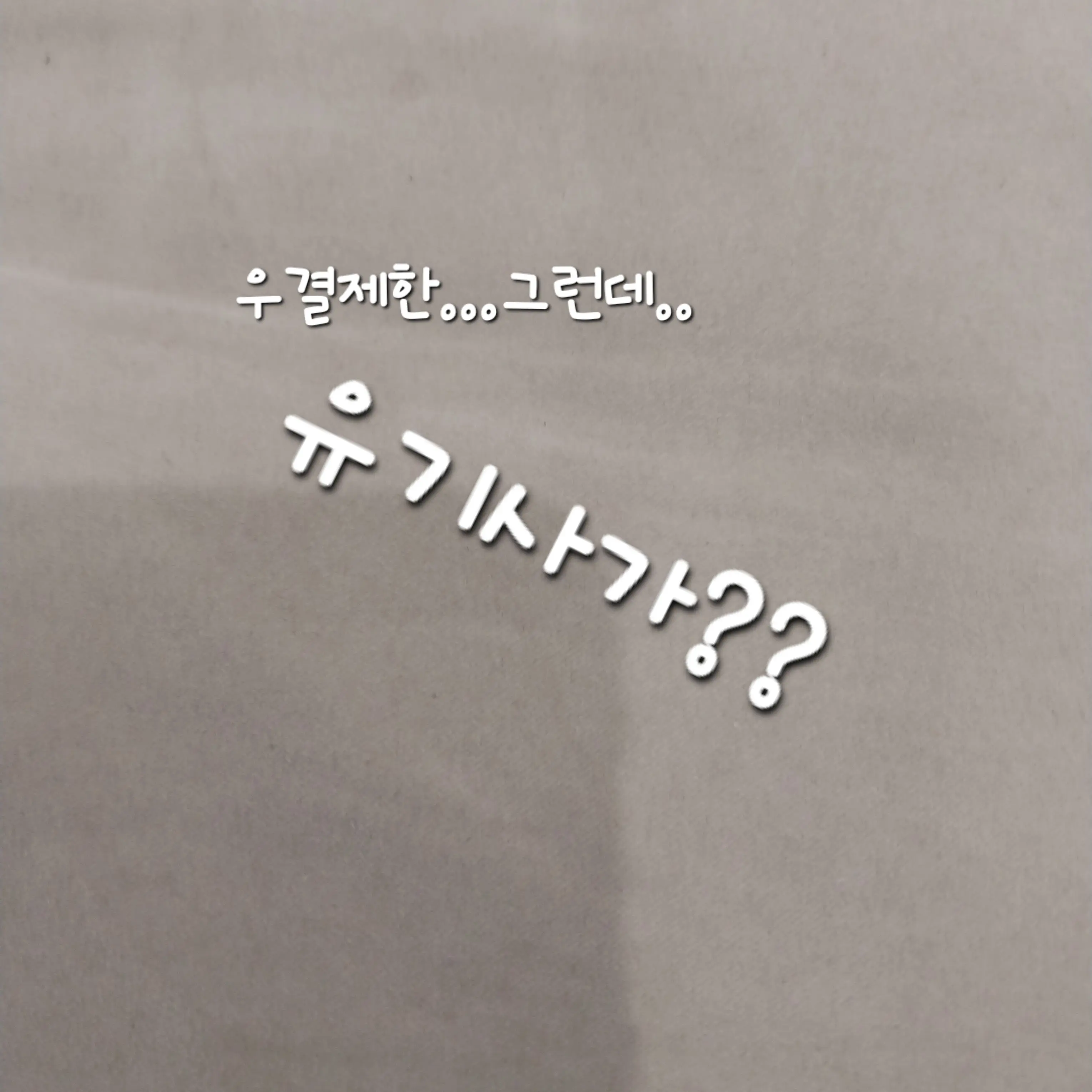 6242222의 유기사의제안!!