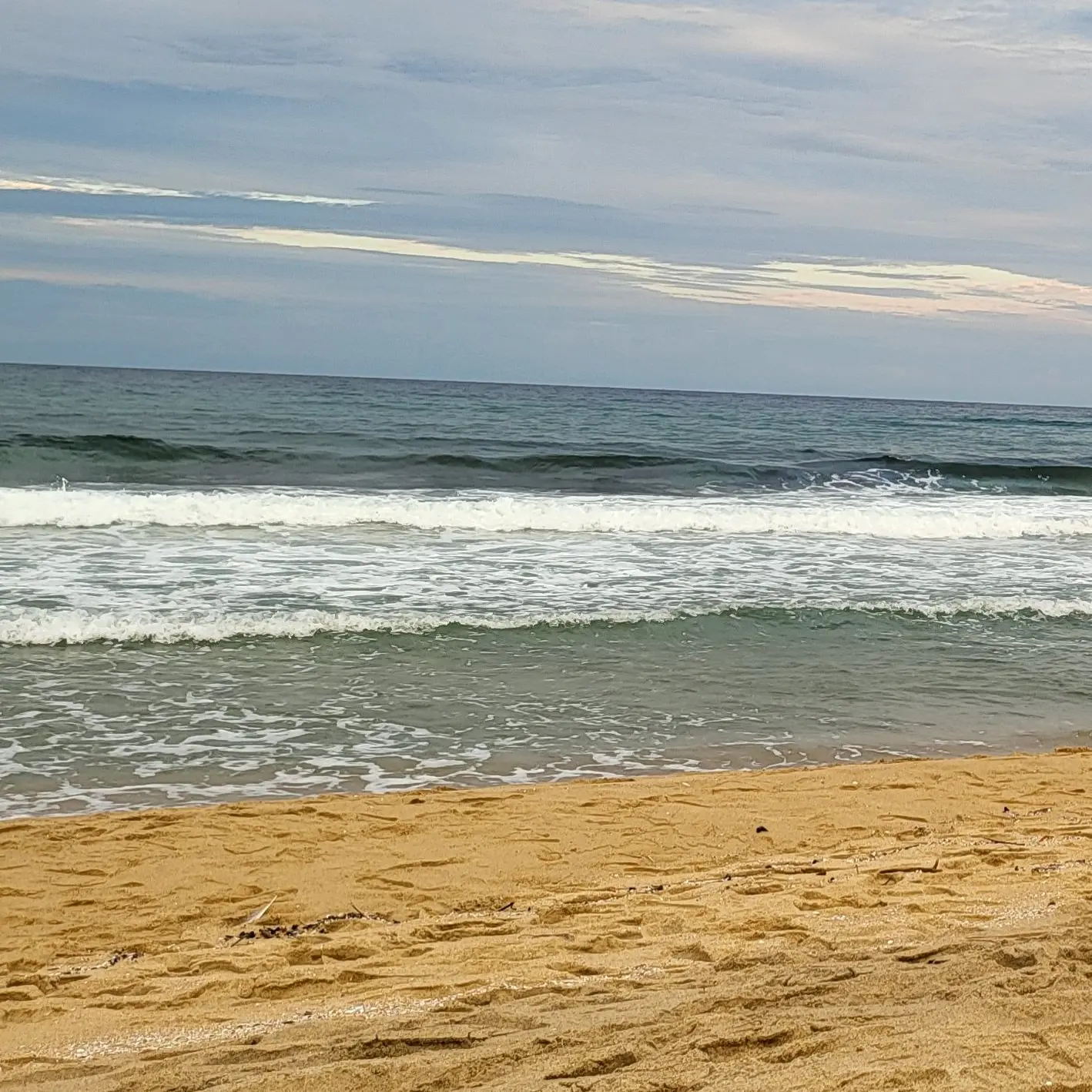 FunnyBonus1816의 세봉고