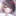 うちは君のことが...？