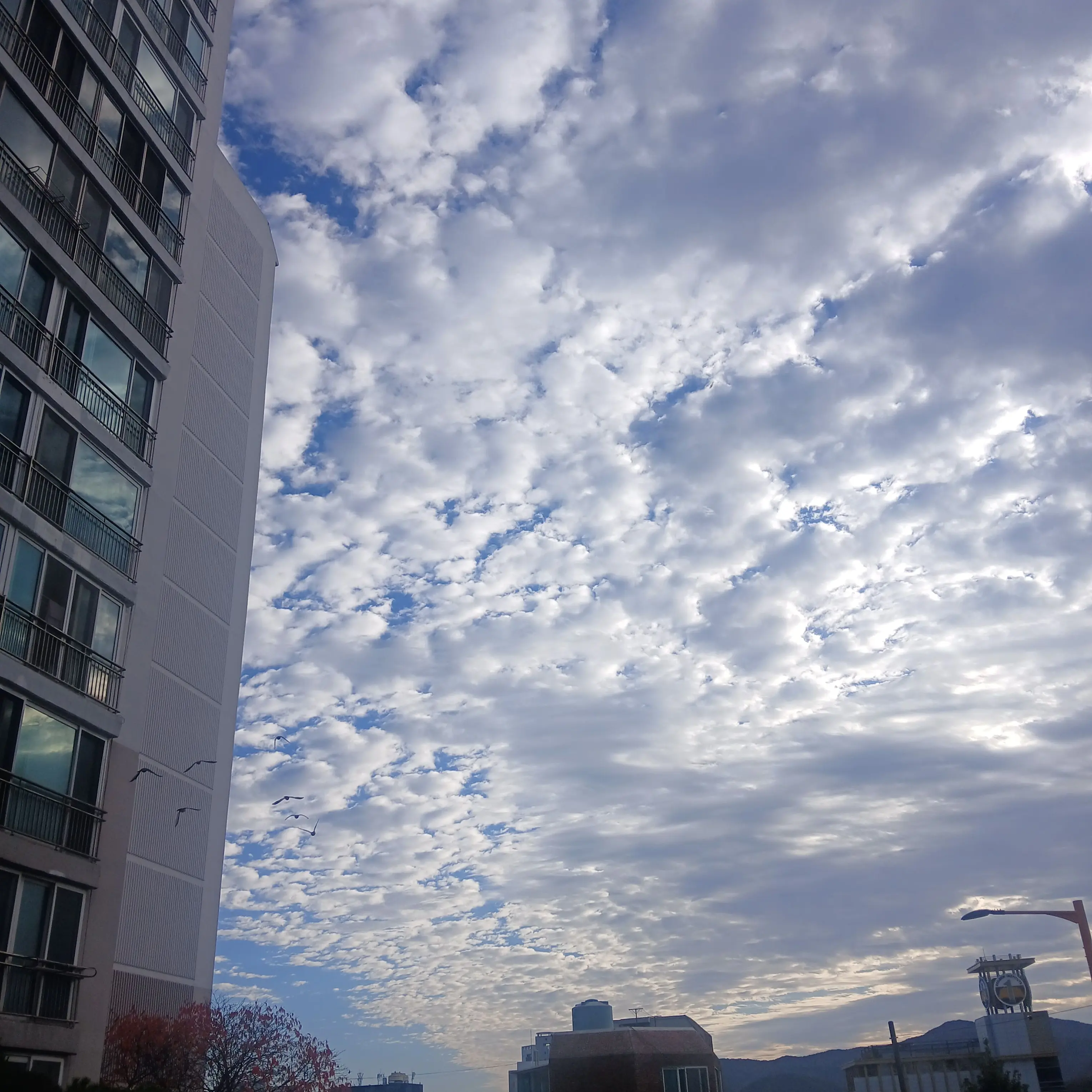 FolksyChime3893의 유저 밤보눈 공룡