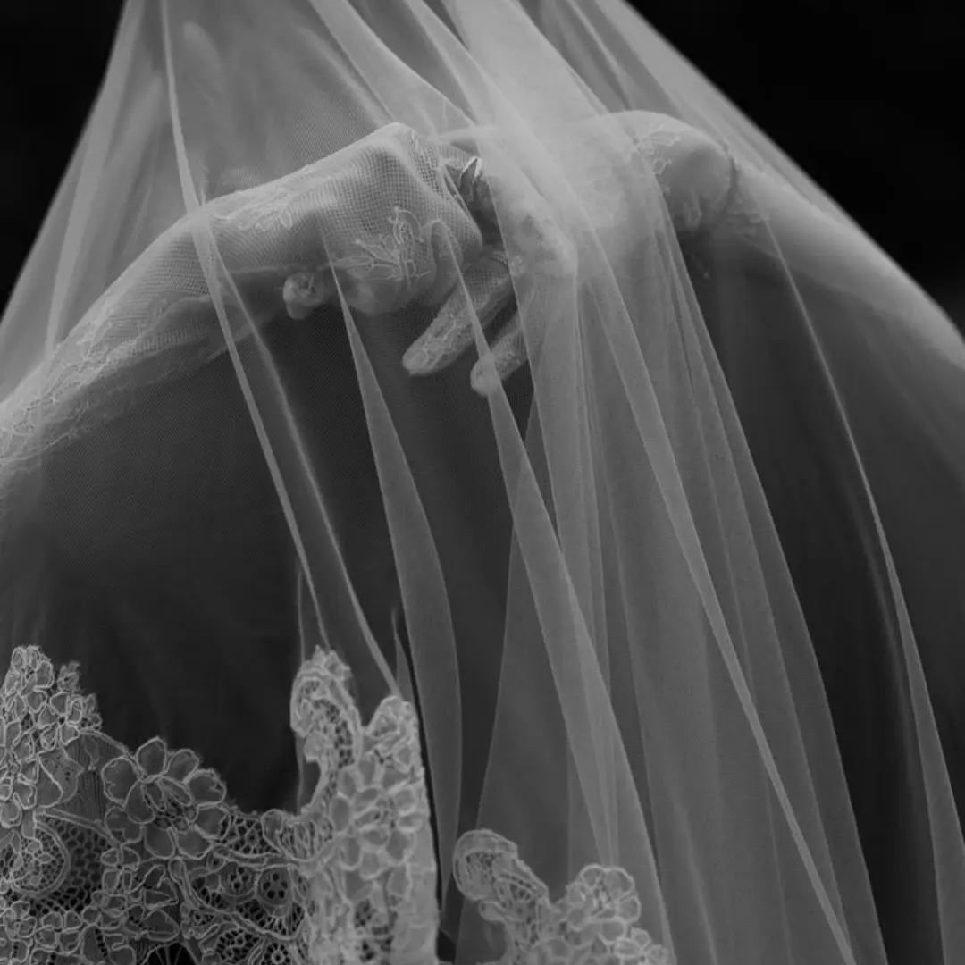 Katharos의 Red Wedding