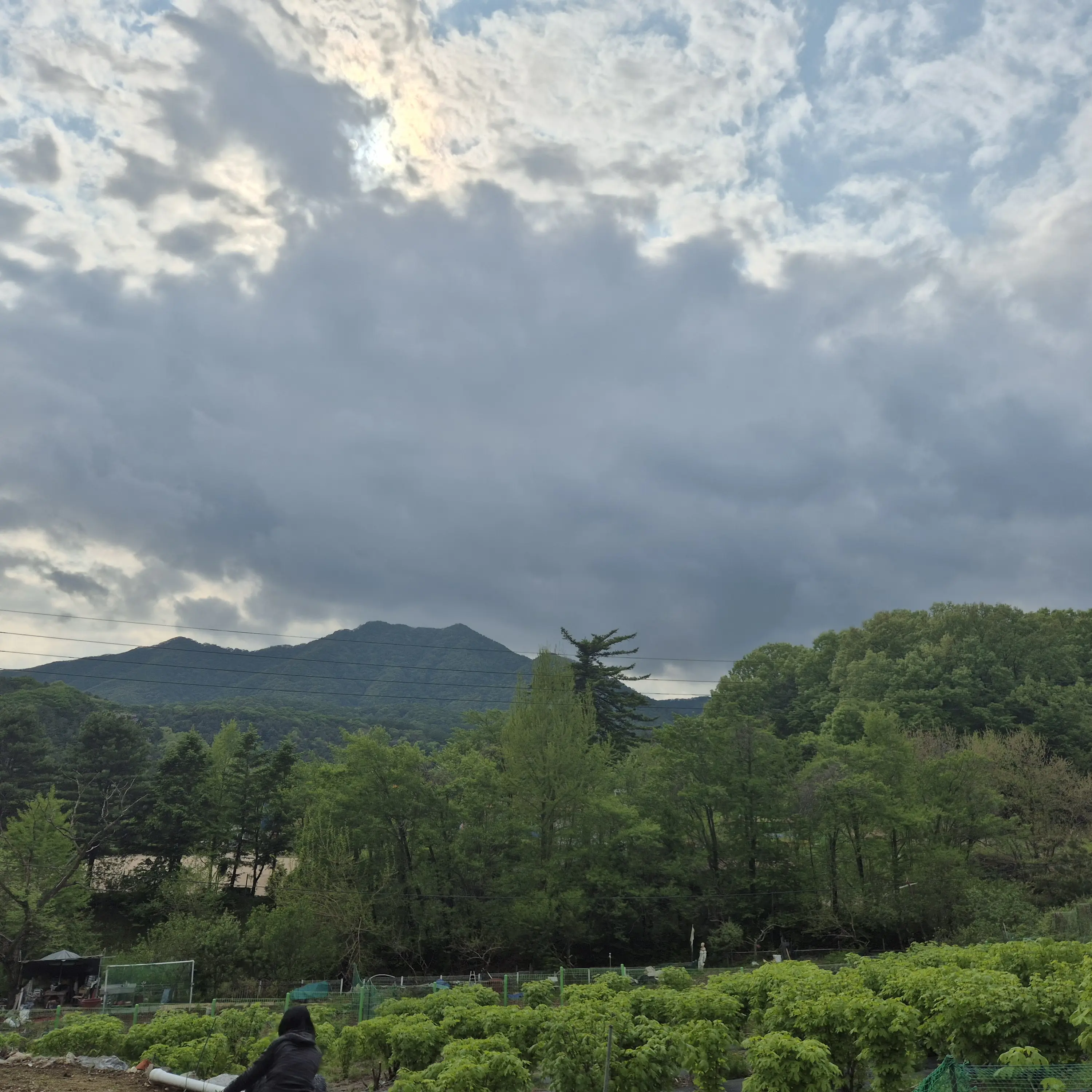 LavishSwipe7274의 친구