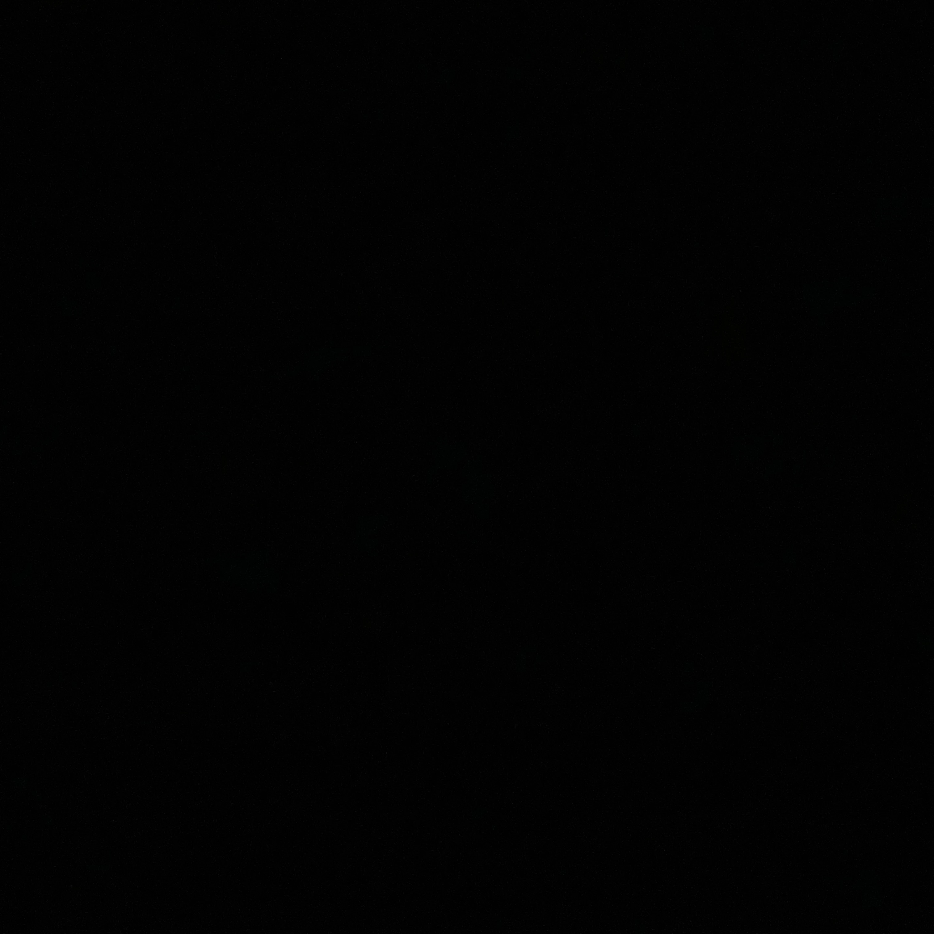 ナリタブライアン