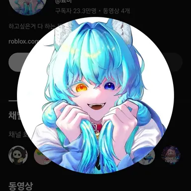 Profile image of 료미