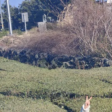 Profile image of 김건우