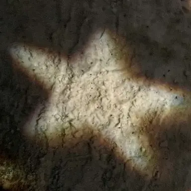 Profile image of 엄별