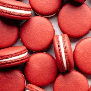 Profile image of 서라더