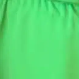 Profile image of パオウ