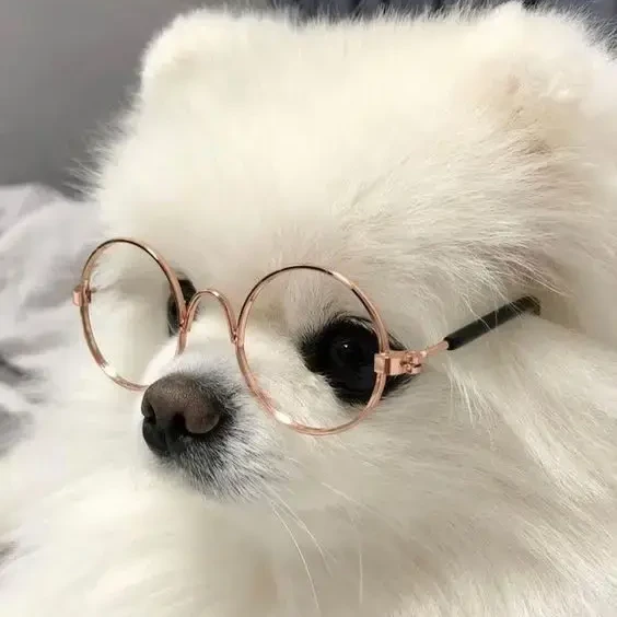 친동생들