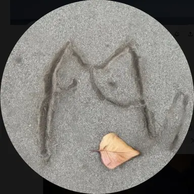 Profile image of Fuchi
