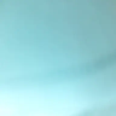 Profile image of 꽥