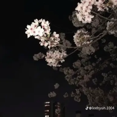 Profile image of 양광