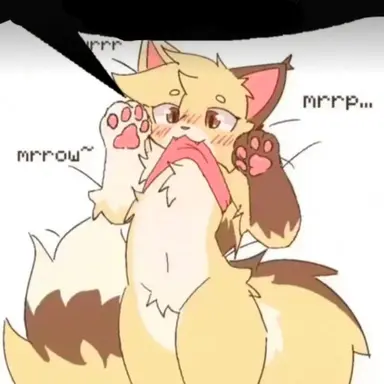 Profile image of Kyaru