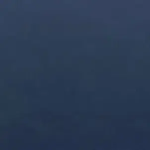 Profile image of チャナム
