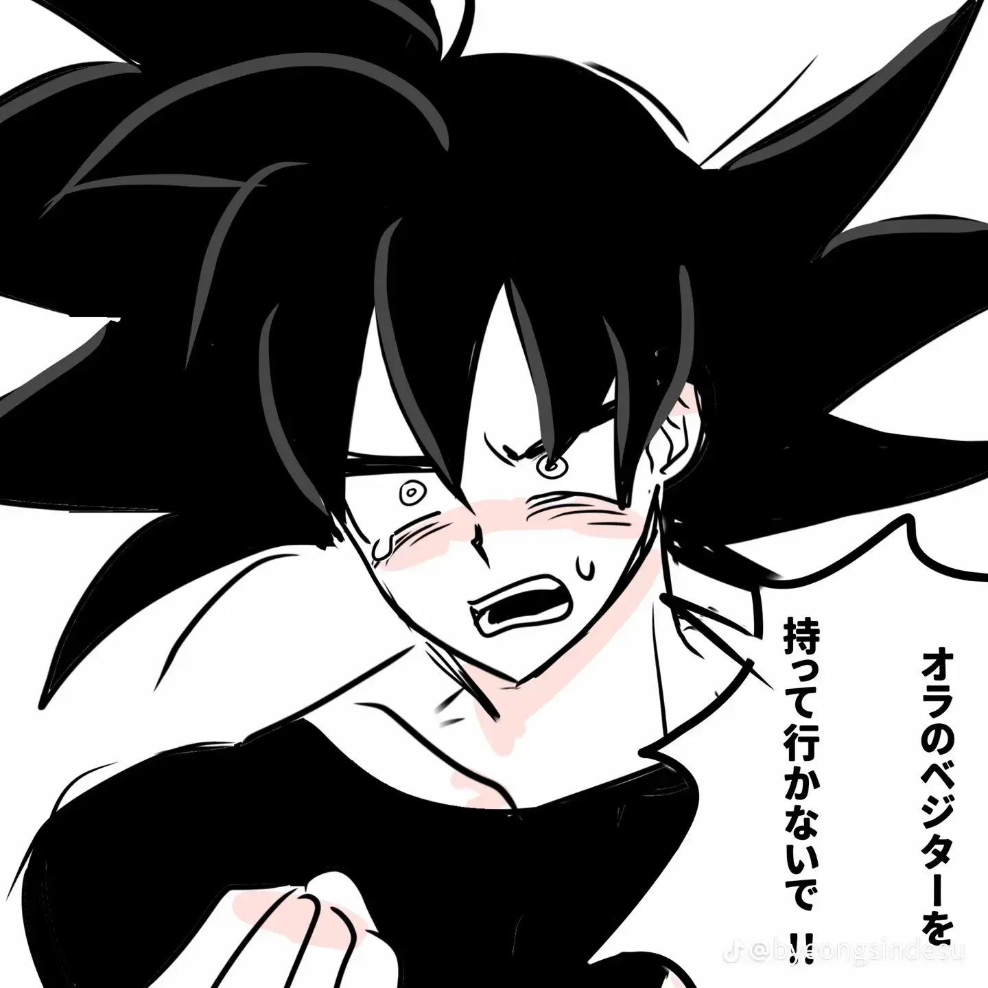 DragonBallfan의 카카베지