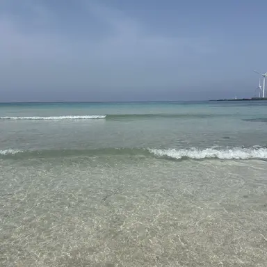 Profile image of 유진