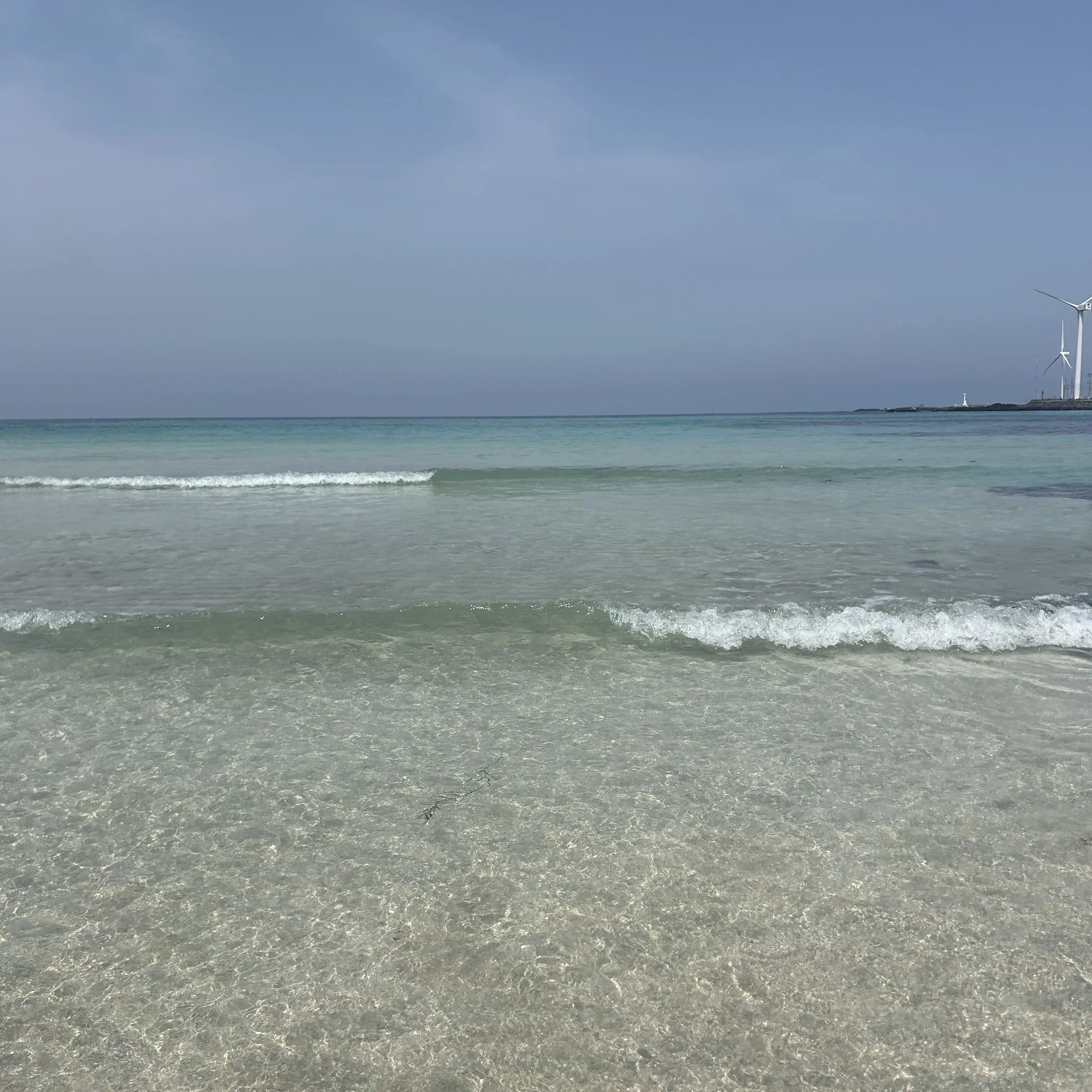 RoastSkier4011의 유진