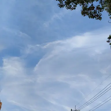 Profile image of 自由