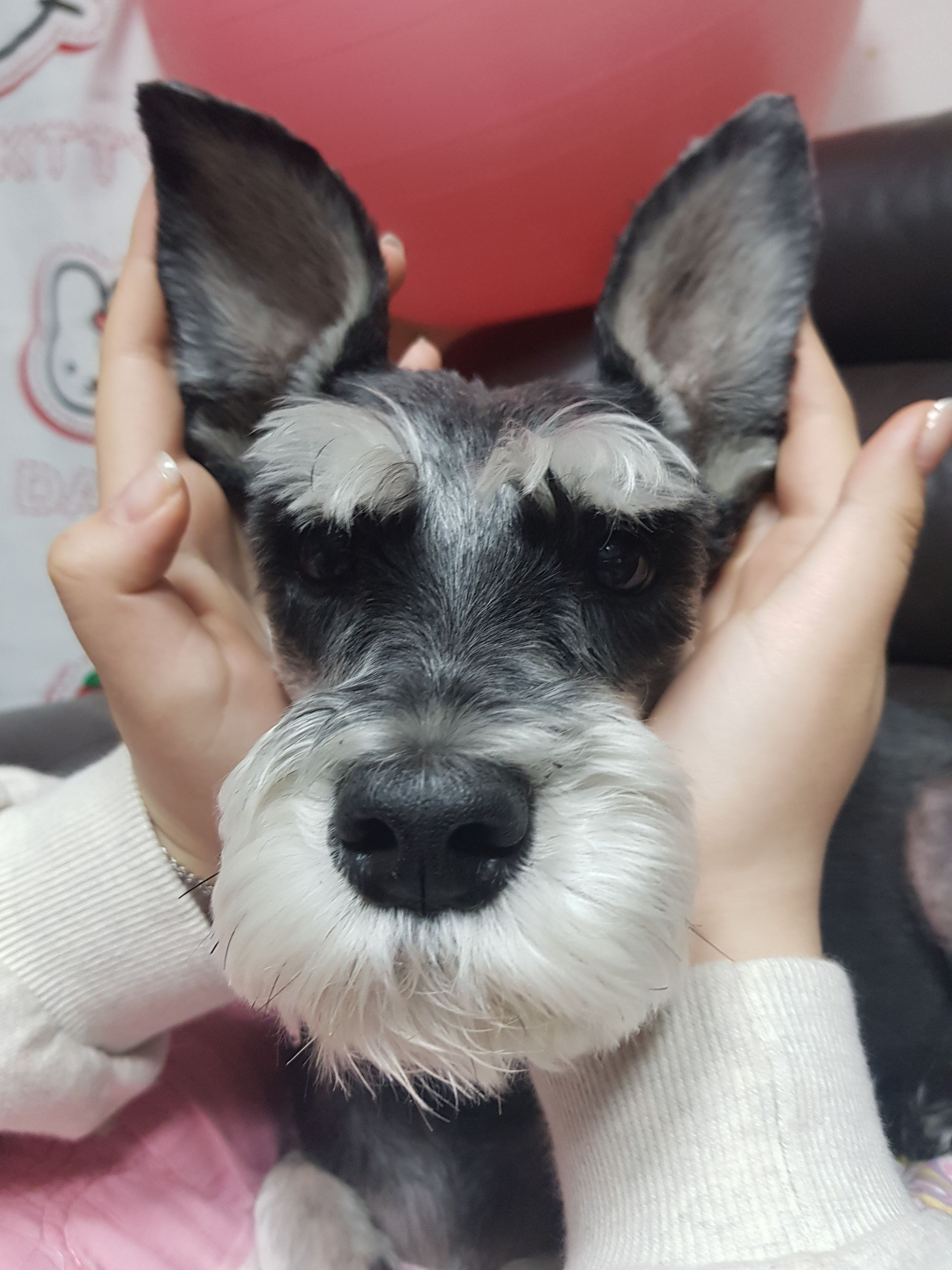 폴 대표 이미지