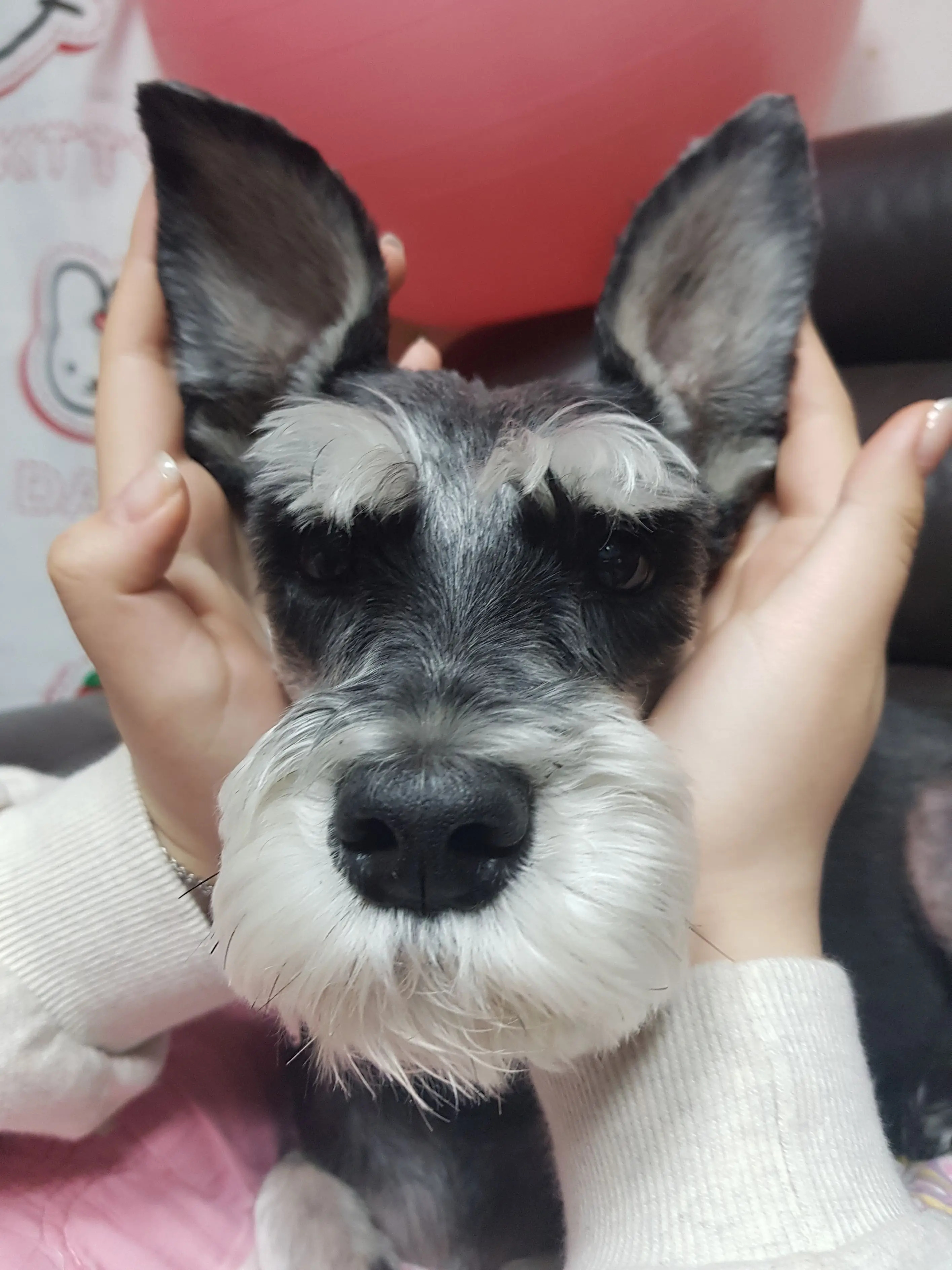 harsy00의 폴
