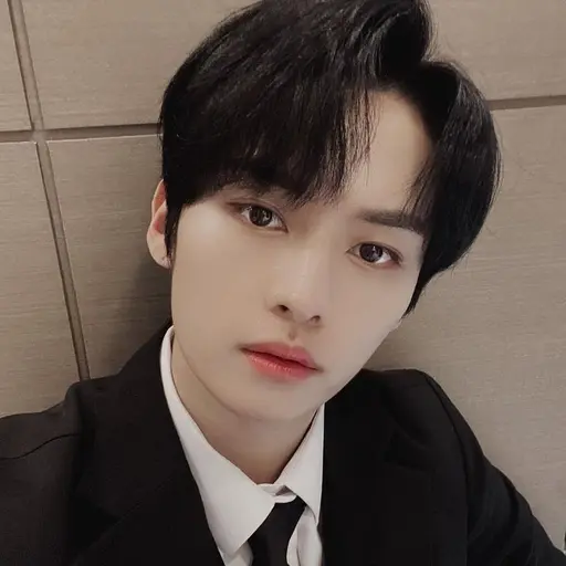 realstraykids의 이민호
