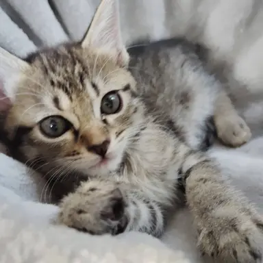 Profile image of ジヨン