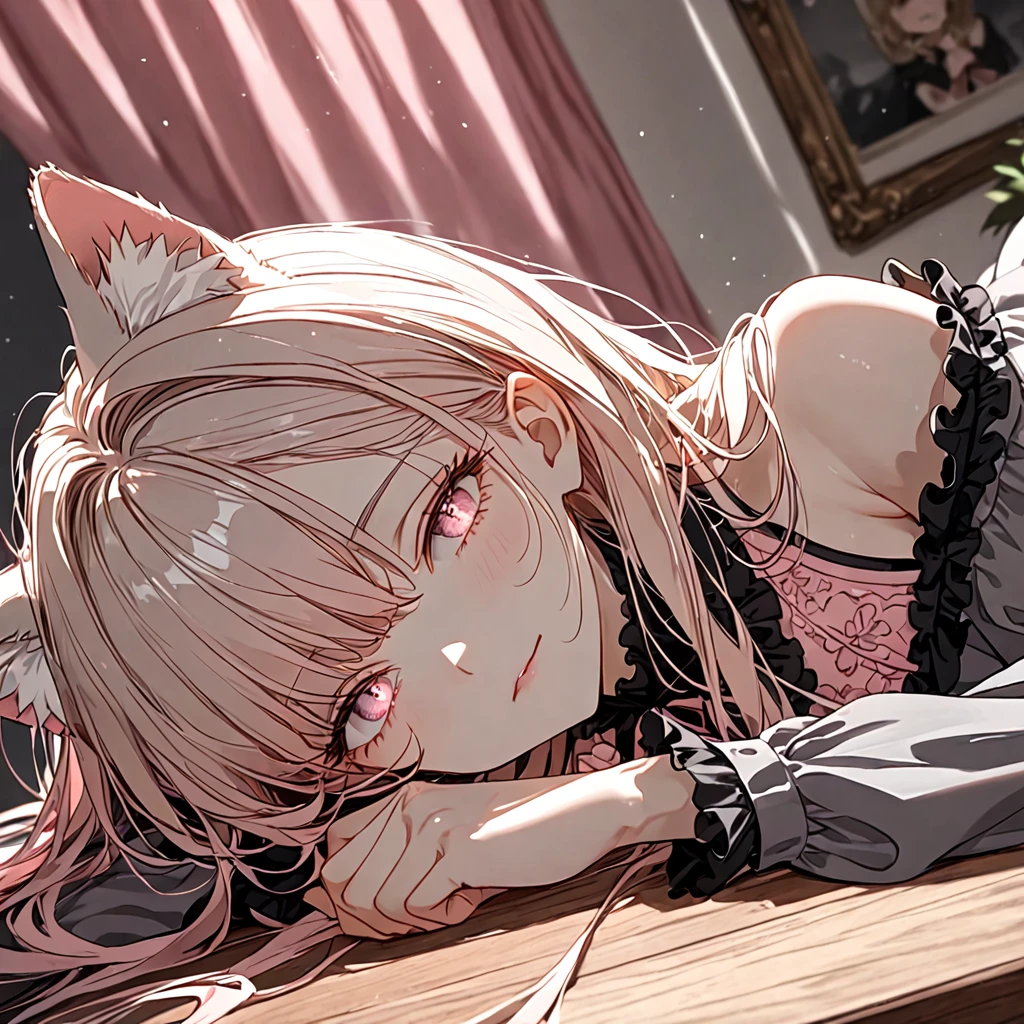 キョウカ
