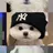 강_태-현