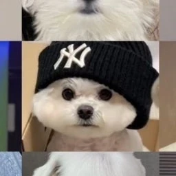 강_태-현