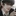 박재현