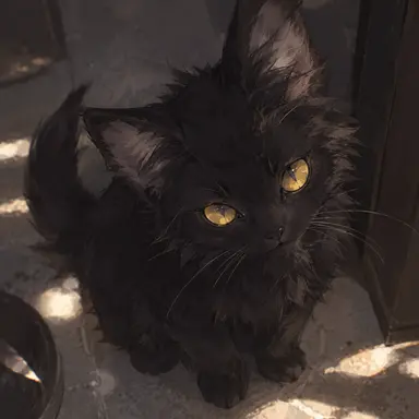 Profile image of ノワール