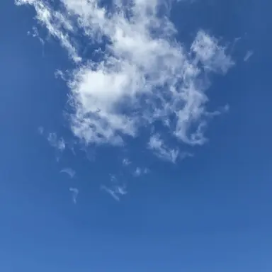 Profile image of 유저