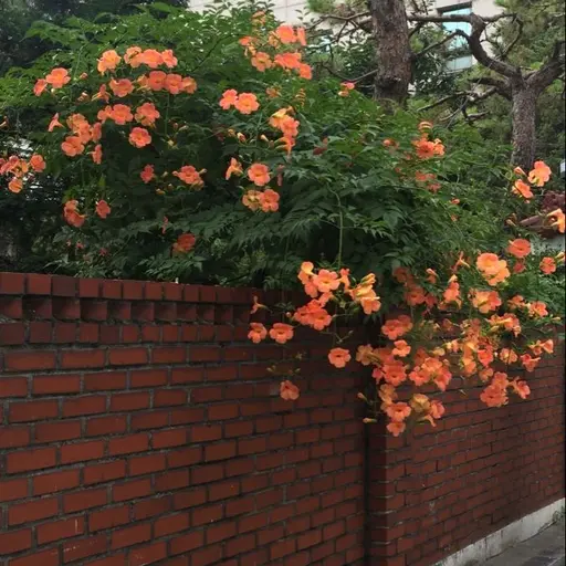 Chaeyun0802의 진서한