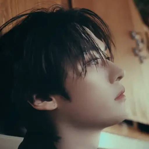 realstraykids의 이민호