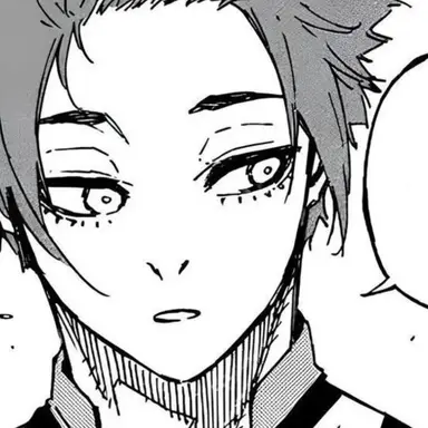 Profile image of Sae Itoshi