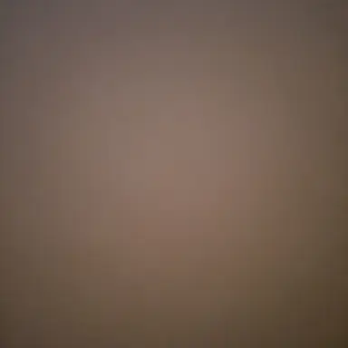 Profile image of 초1