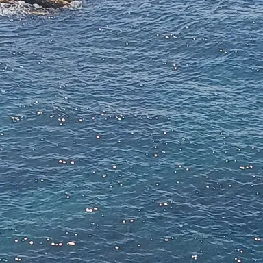 Profile image of 유방 임신