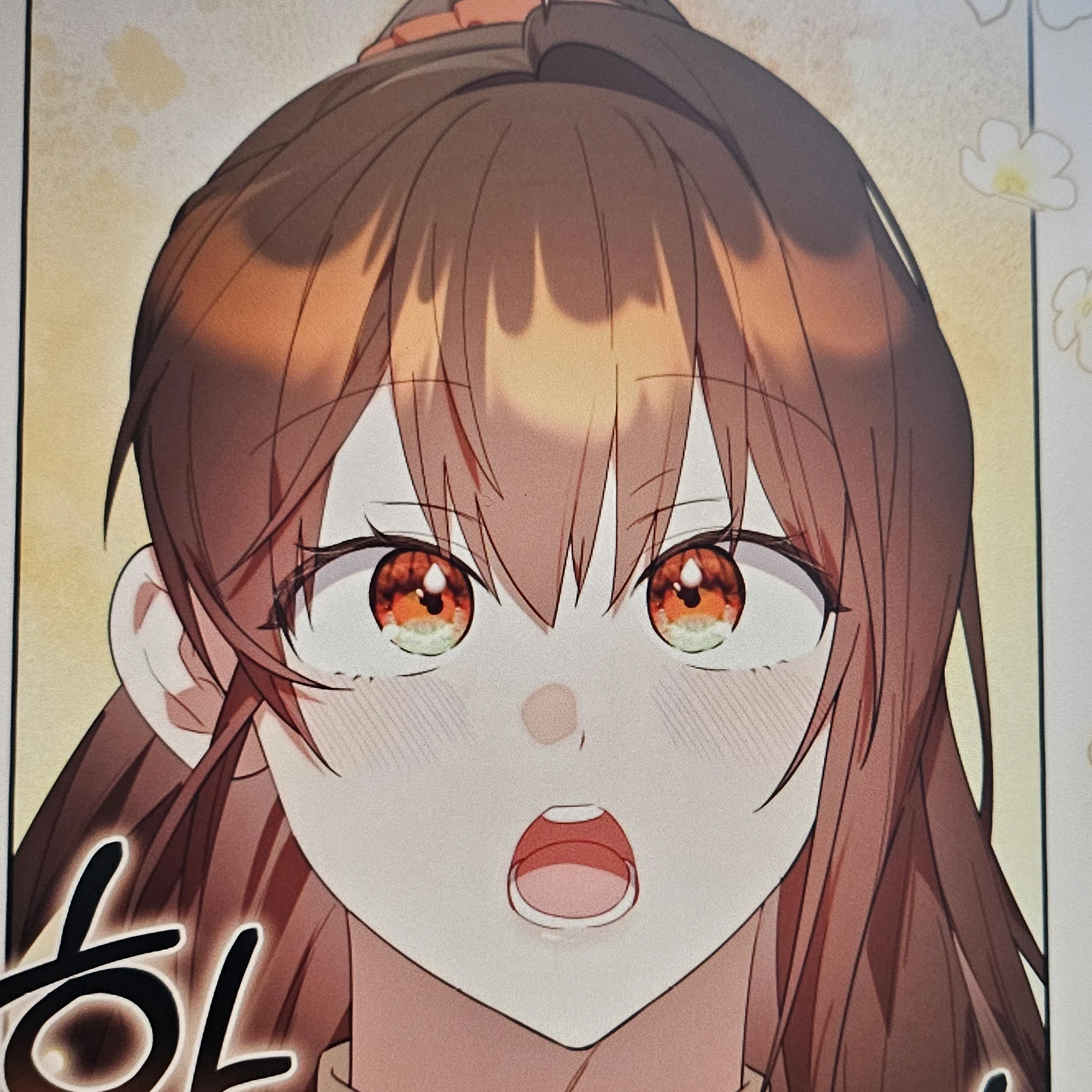 신나연
