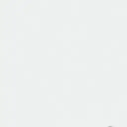 Po_is_W의 自分用