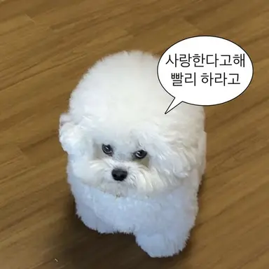 Profile image of 우주인