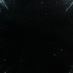 081