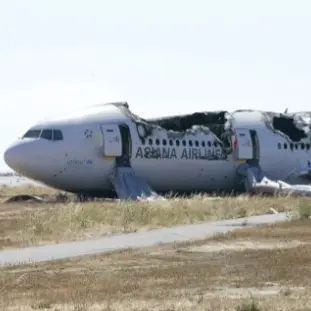 Profile image of 아시아나 214편